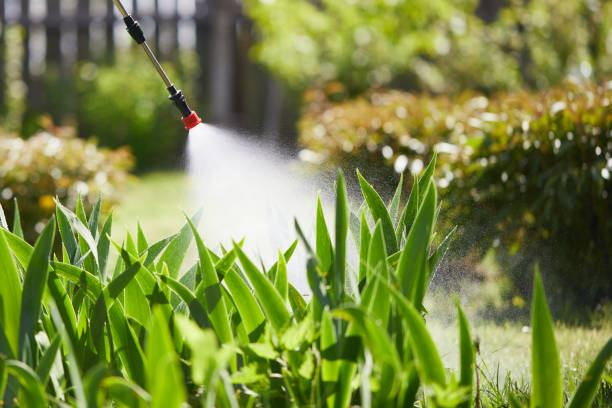 Tamper-Resistant Bait Stations for Rodents in Inverness