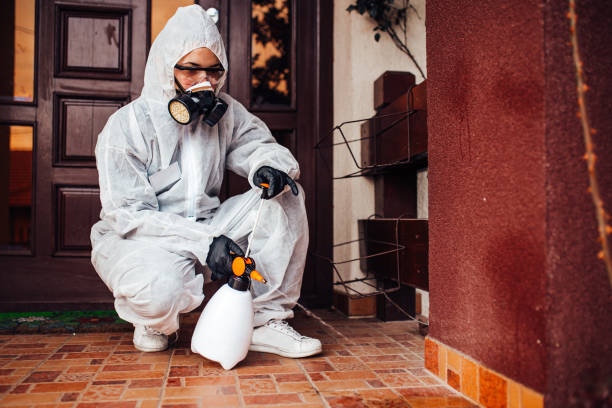 Attic and Crawl Space Rodent Treatment in Inverness